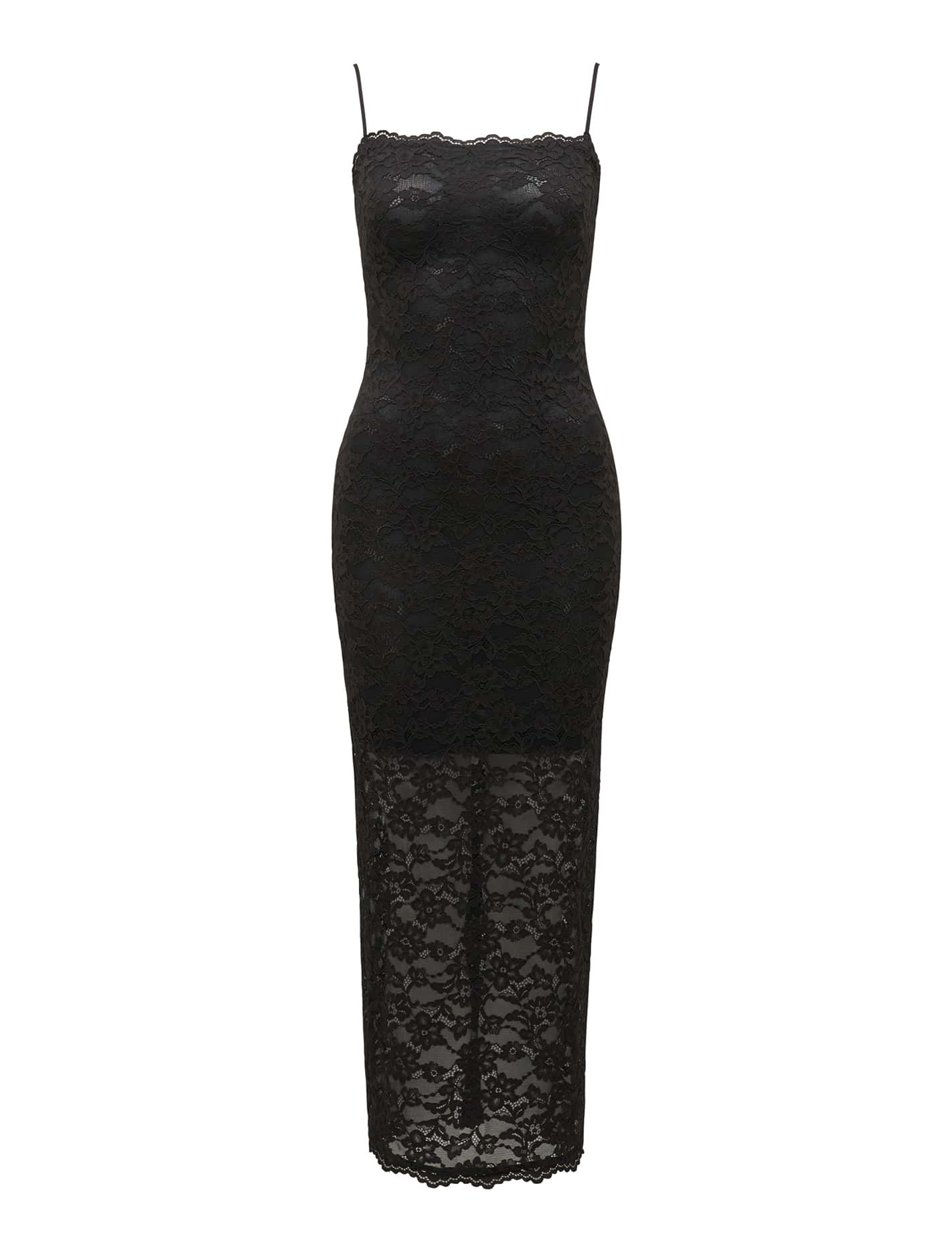 Angelica Lace Bodycon Midi Dress Forever New