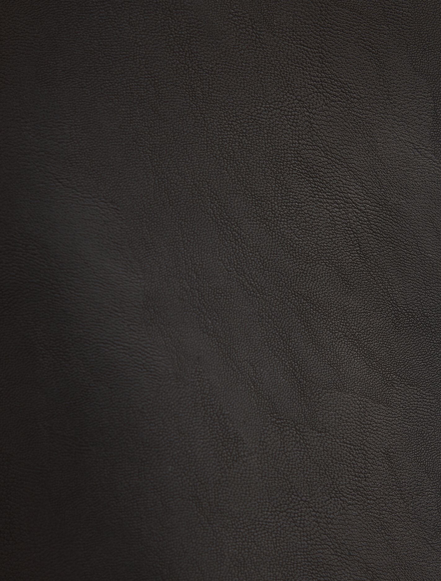 Lauren Vegan Leather Mini Skirt Forever New