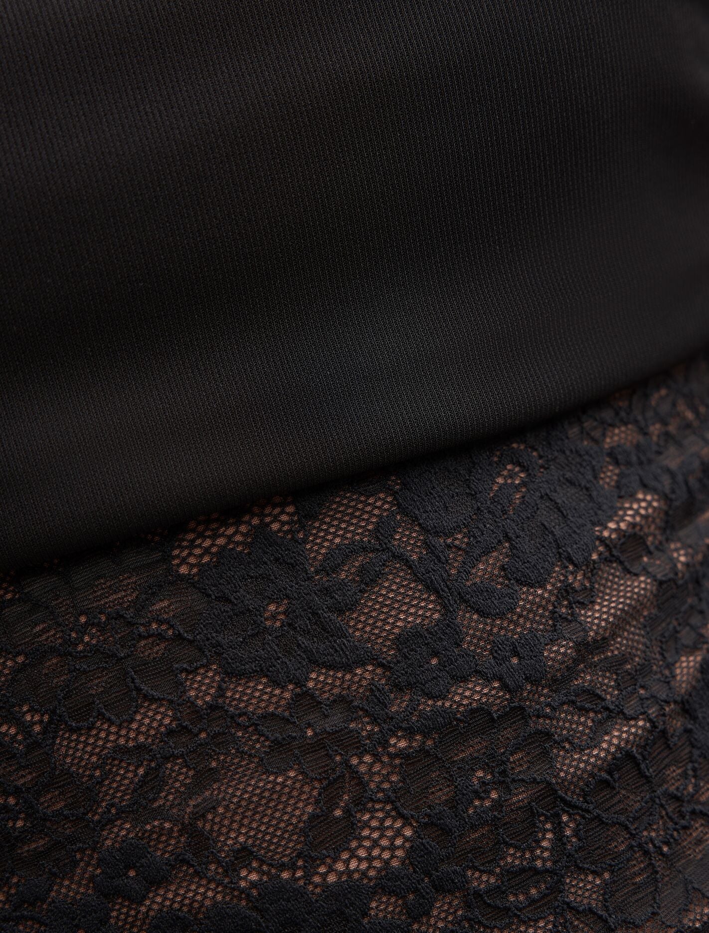 Lily Lace Bardot Top Forever New