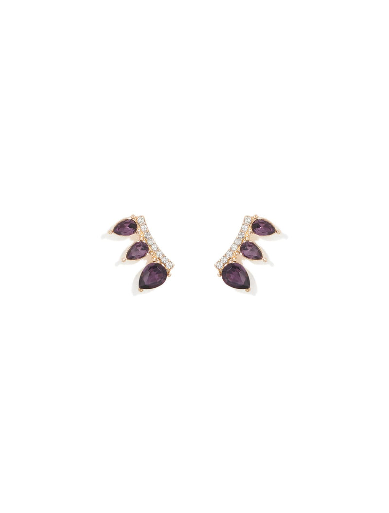 Pia Pretty Climber Earrings Forever New