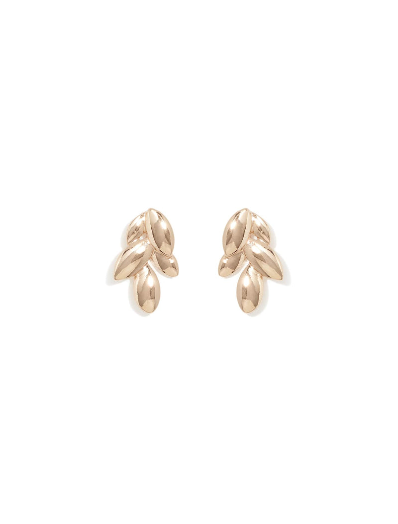 Marli Metal Leaf Earrings Forever New